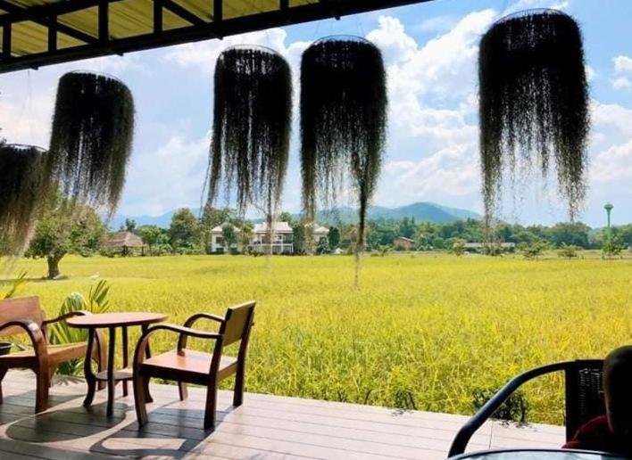Oon Valley Farm Stay San Kamphaeng エクステリア 写真